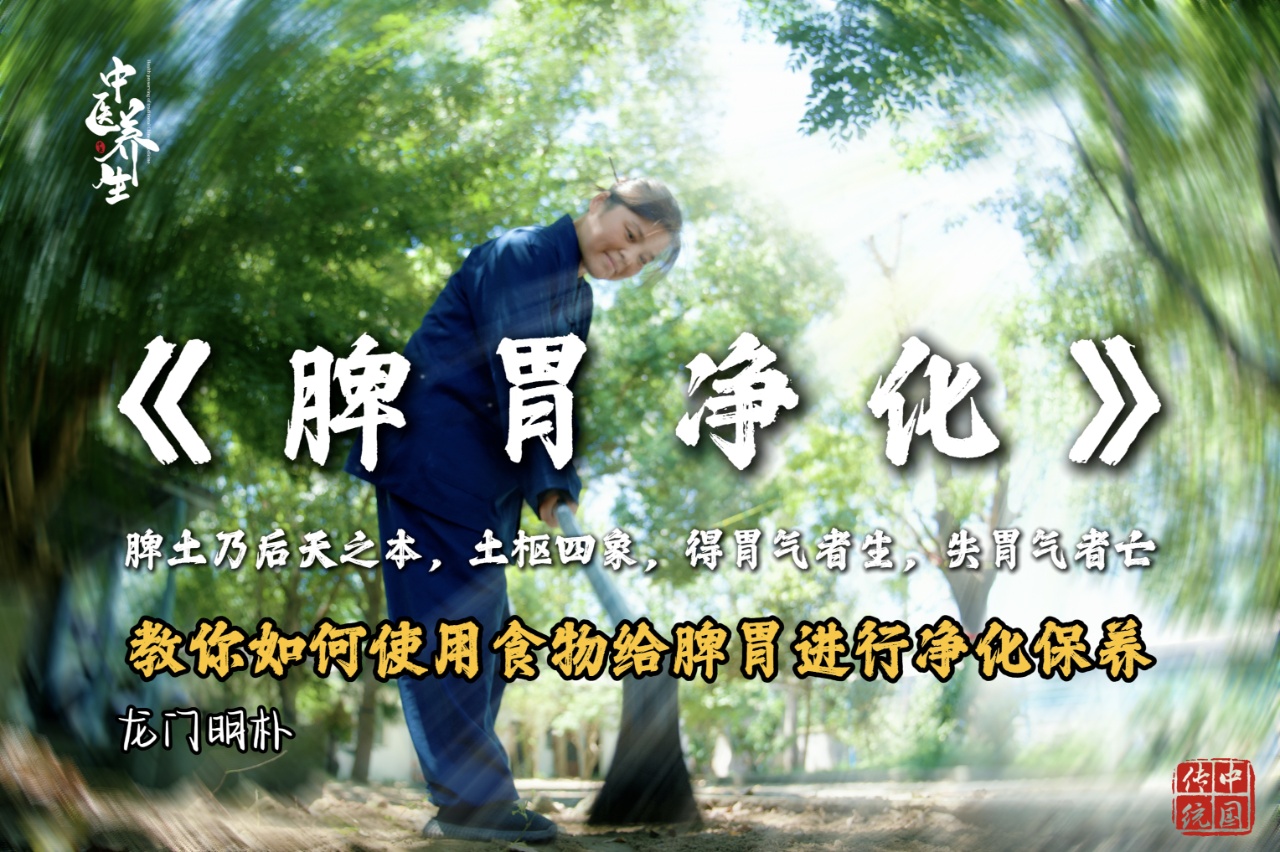 【道家养生】脾胃净化养生教程视频课