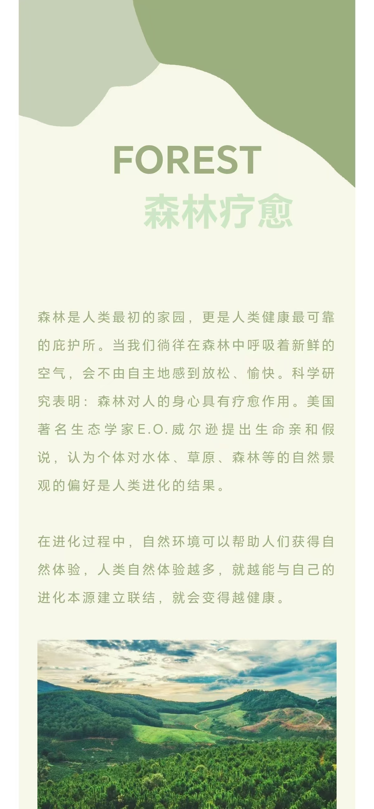 森林疗愈师 | 让我们的身心灵更加贴近大自然