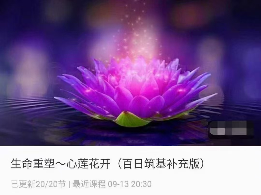 【冥想课程】生命重塑～心莲花开