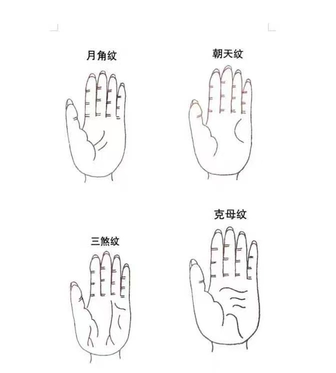 【易学课程】青山书院 鹤鹤道家识人术课程 视频27集+课件