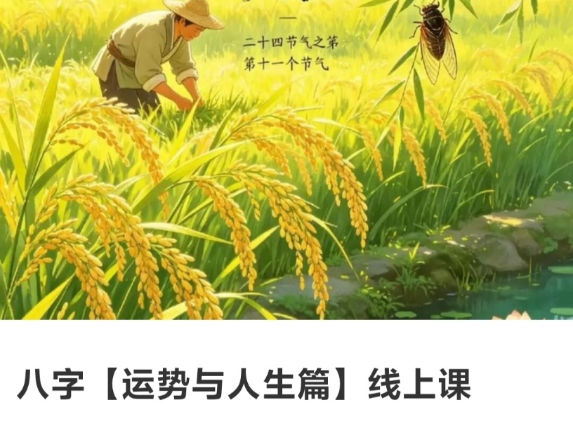 【四柱八字】台湾名师贺侨莉八字【运势和人生篇】线上课